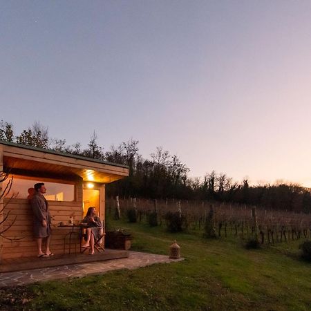 Agriturismo Terre Bianche Teolo Kültér fotó