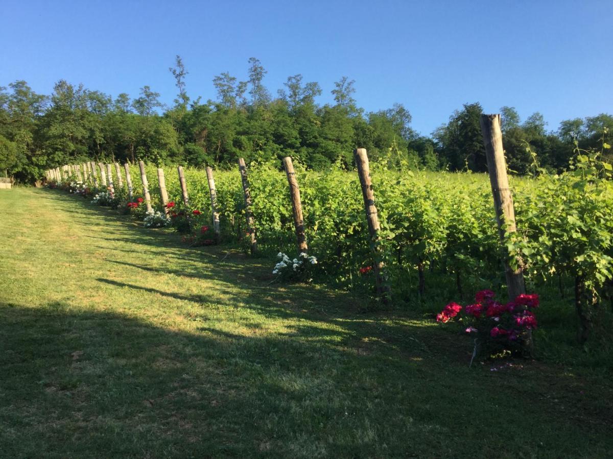 Agriturismo Terre Bianche Teolo Kültér fotó