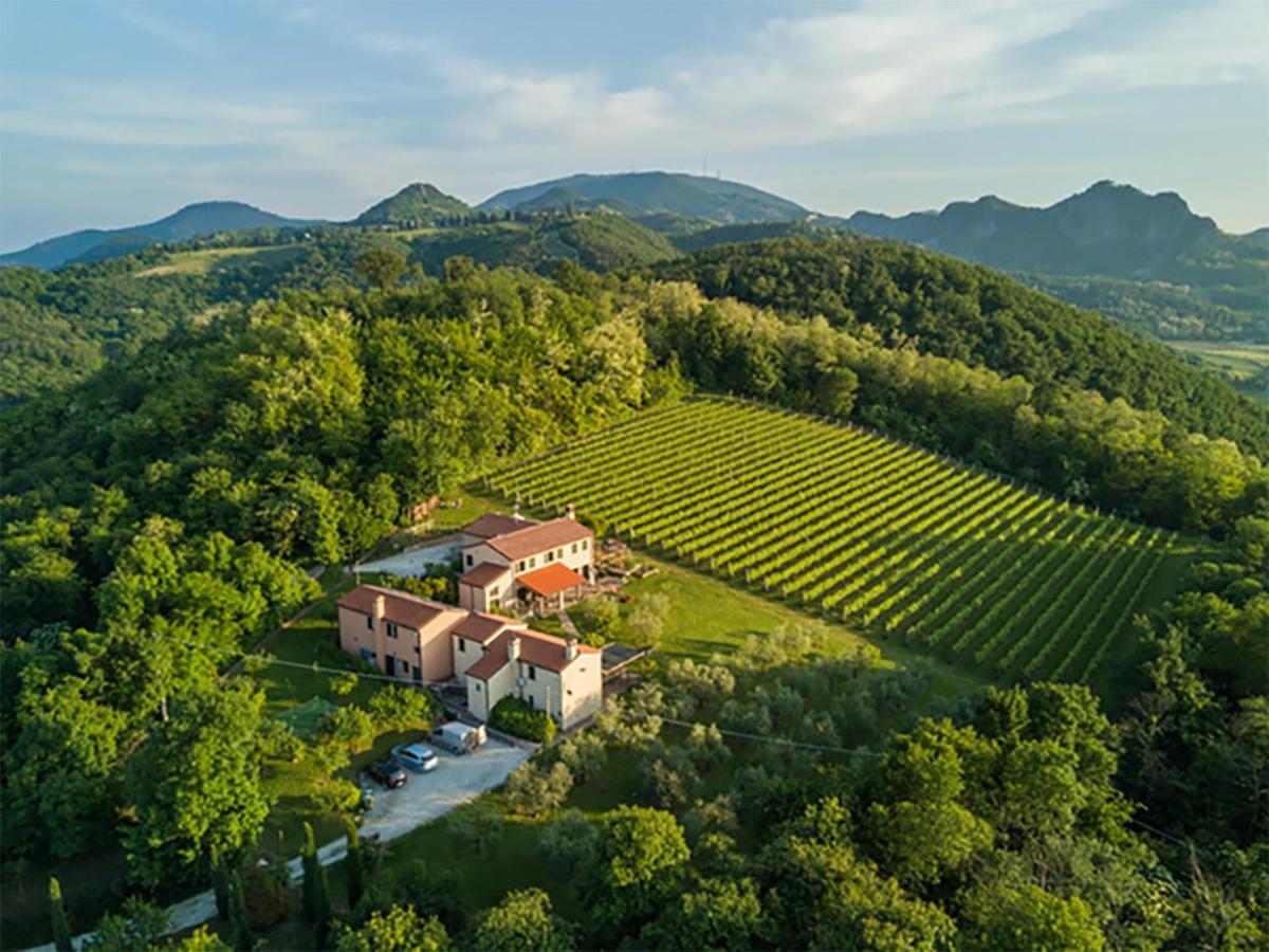 Agriturismo Terre Bianche Teolo Kültér fotó
