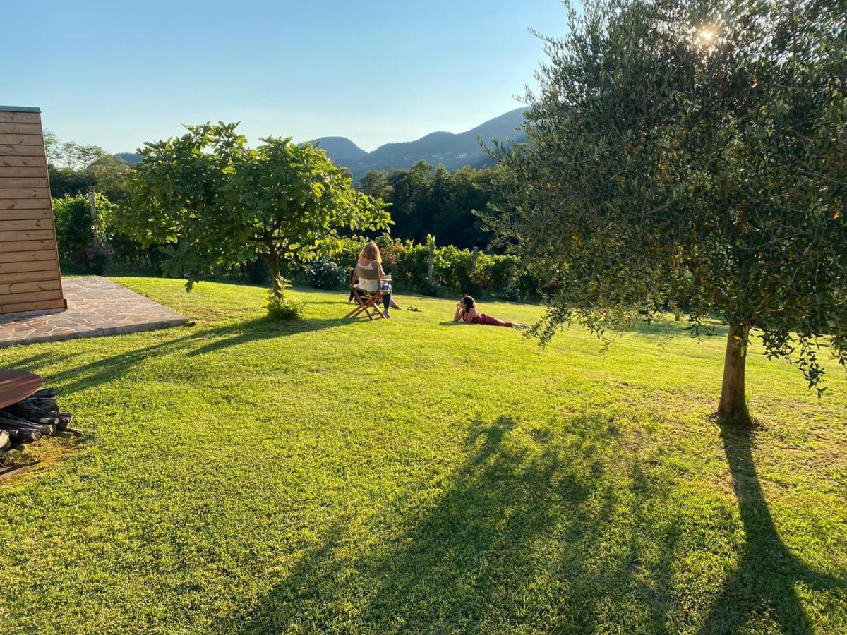 Agriturismo Terre Bianche Teolo Kültér fotó