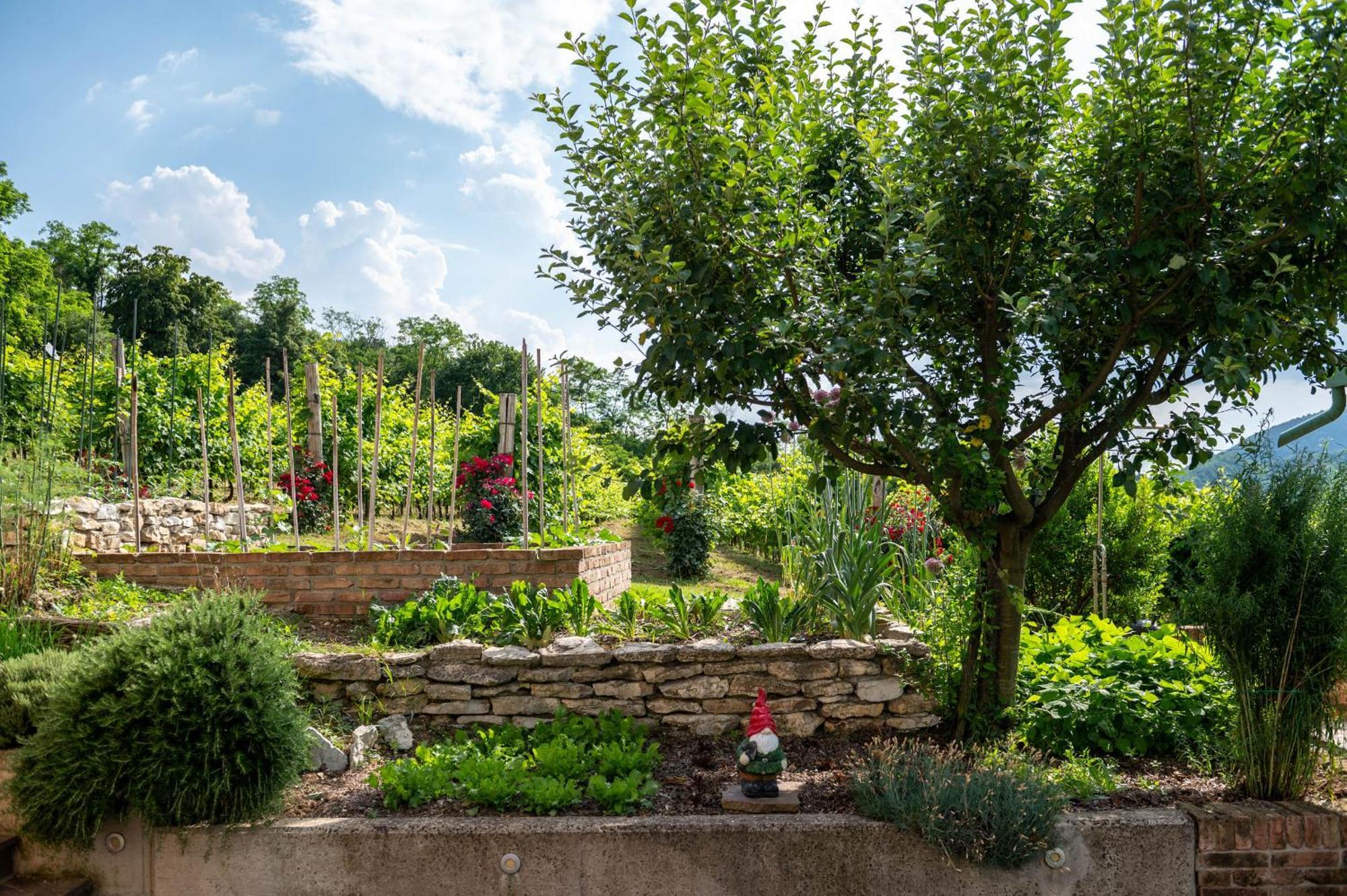 Agriturismo Terre Bianche Teolo Kültér fotó
