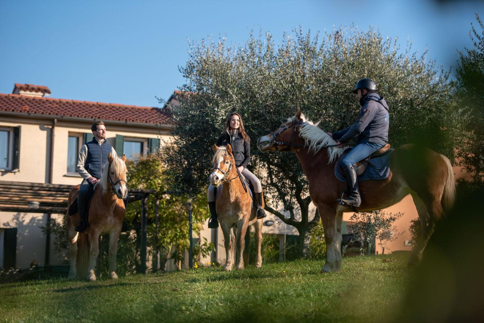 Agriturismo Terre Bianche Teolo Kültér fotó